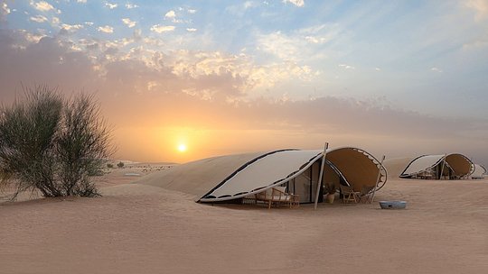 The Nest by Sonora