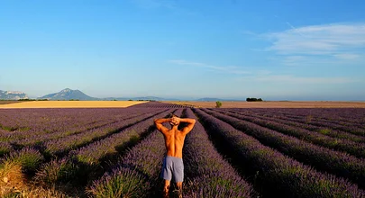 An SYB guest standing in an endless Provence lavender field