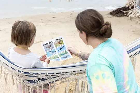 Children Summer Camp