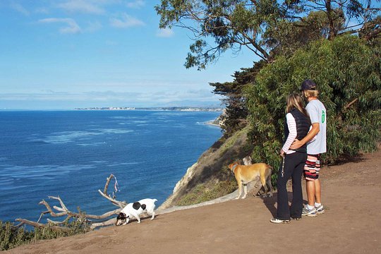 Douglas Family Preserve