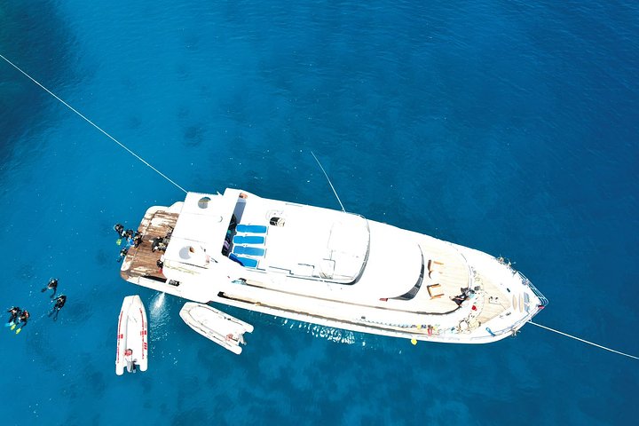Sunshine_yachtredseaegyptkitesafari20230811WA0008