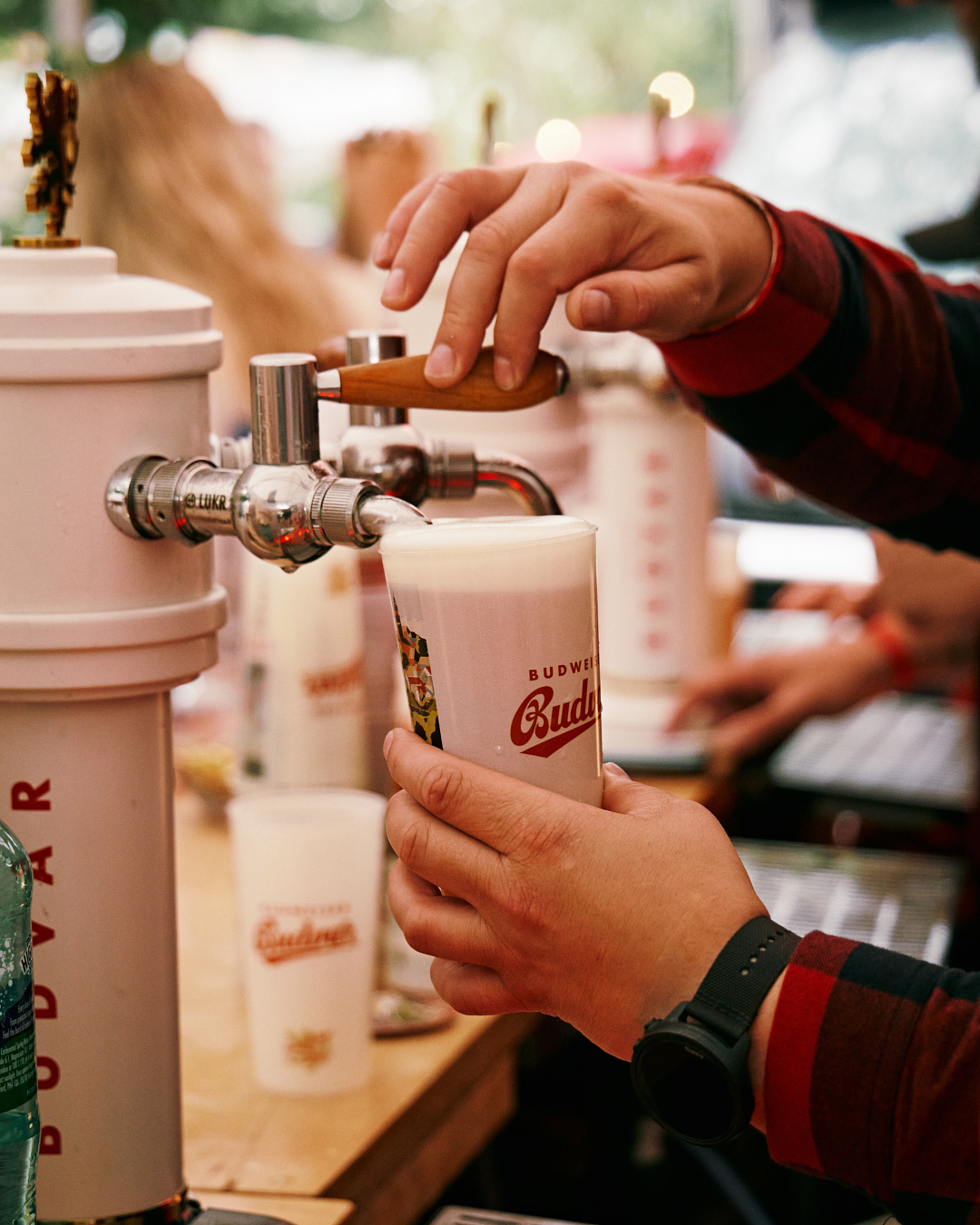 Filling a beer cup with a tasty Budweiser beer at savour festival 2023, Craft beer and cocktails at London summer food festival in London 