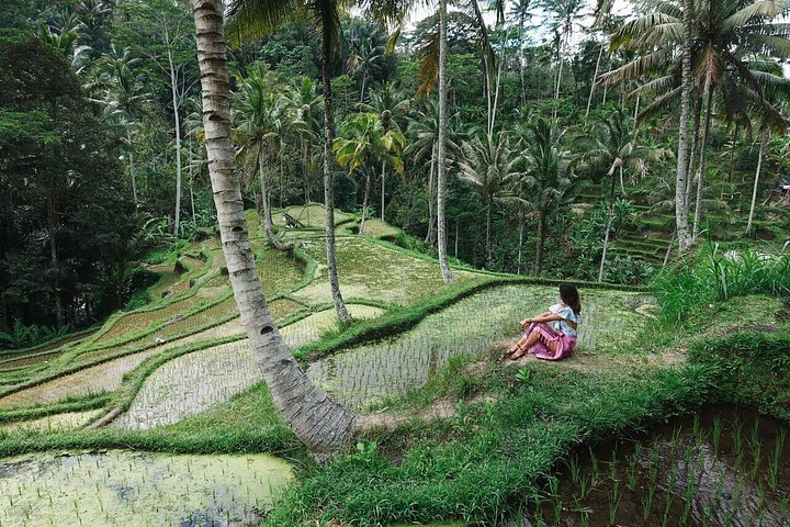 rice terraces bali