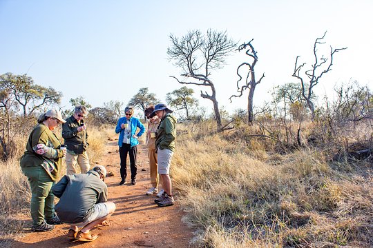 BUSH WALKS
