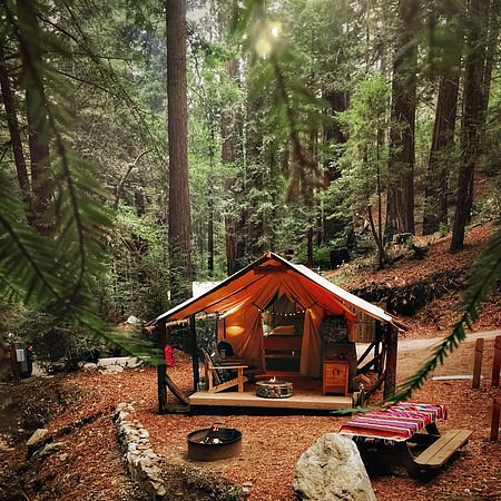 Wilderness Bliss: Serene Glamping Amidst Majestic Landscapes