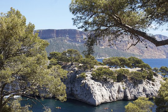 Visit the Calanques via boat in Cassis