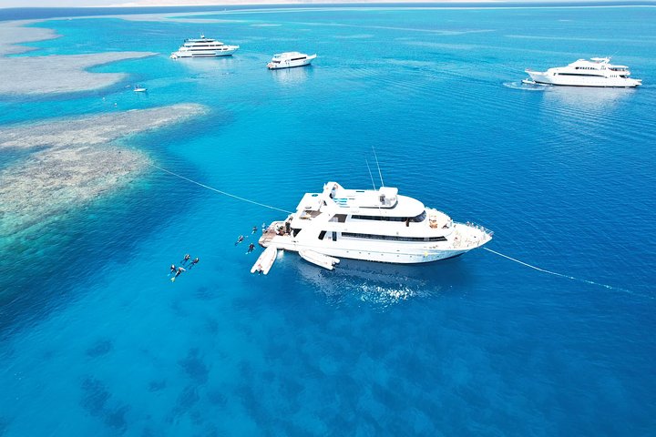 Sunshine_yachtredseaegyptkitesafari20230811WA0011