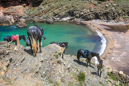 Horse Riding