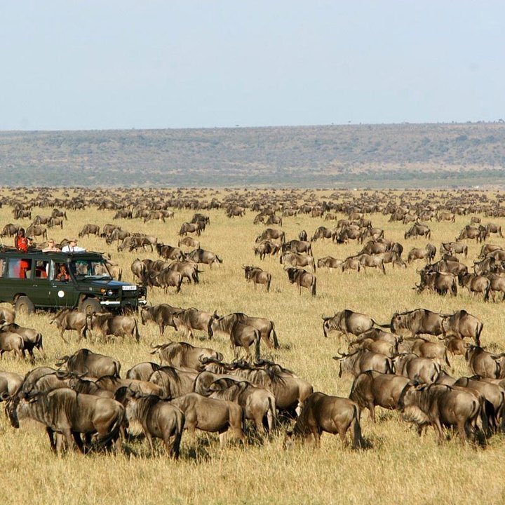 KenyaMasaiMaraGameReserve1