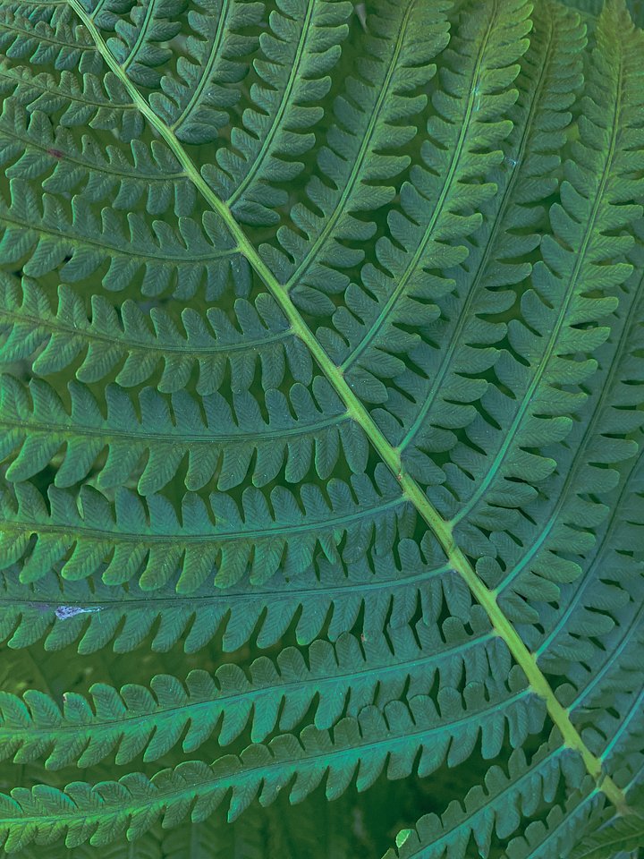 pexels8467409