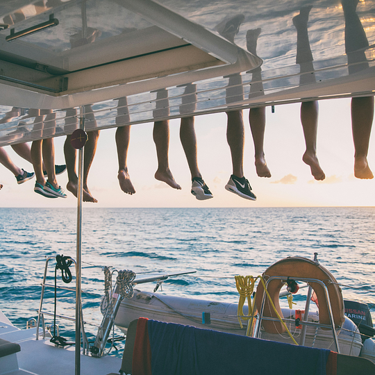 Catamaran Dolphin Trip