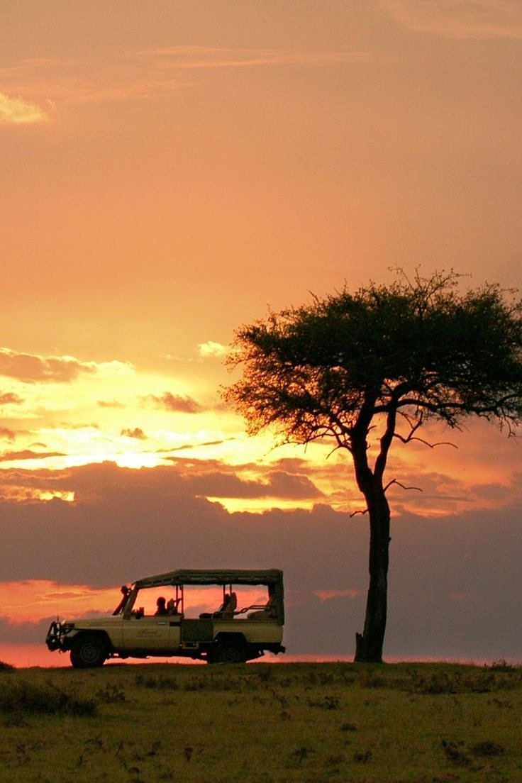 FAIRMONTMARASAFARICLUBUpdated2023PricesResortReviewsKenya_MaasaiMaraNationalReserve