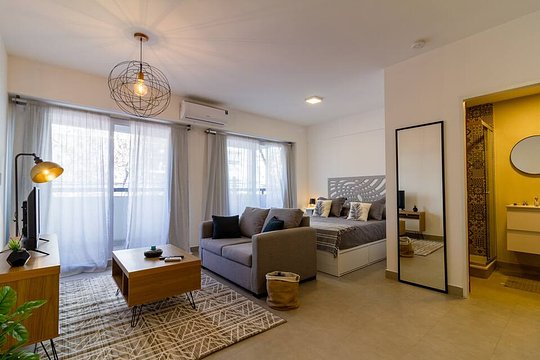 Extra Large apartment, 2A