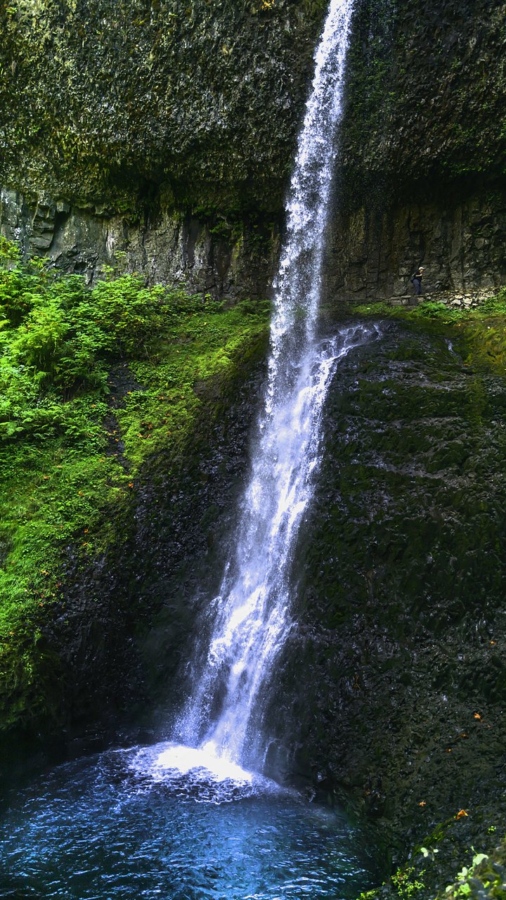 iStock1427296938