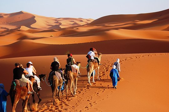 Desert Exploration