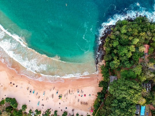 Surf's Up