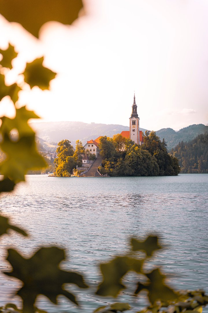 Bled