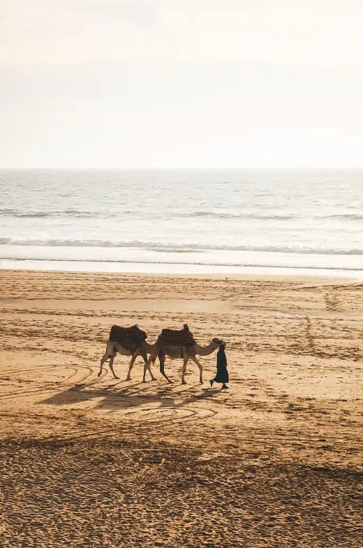 Screenshot20260209at00.30.39