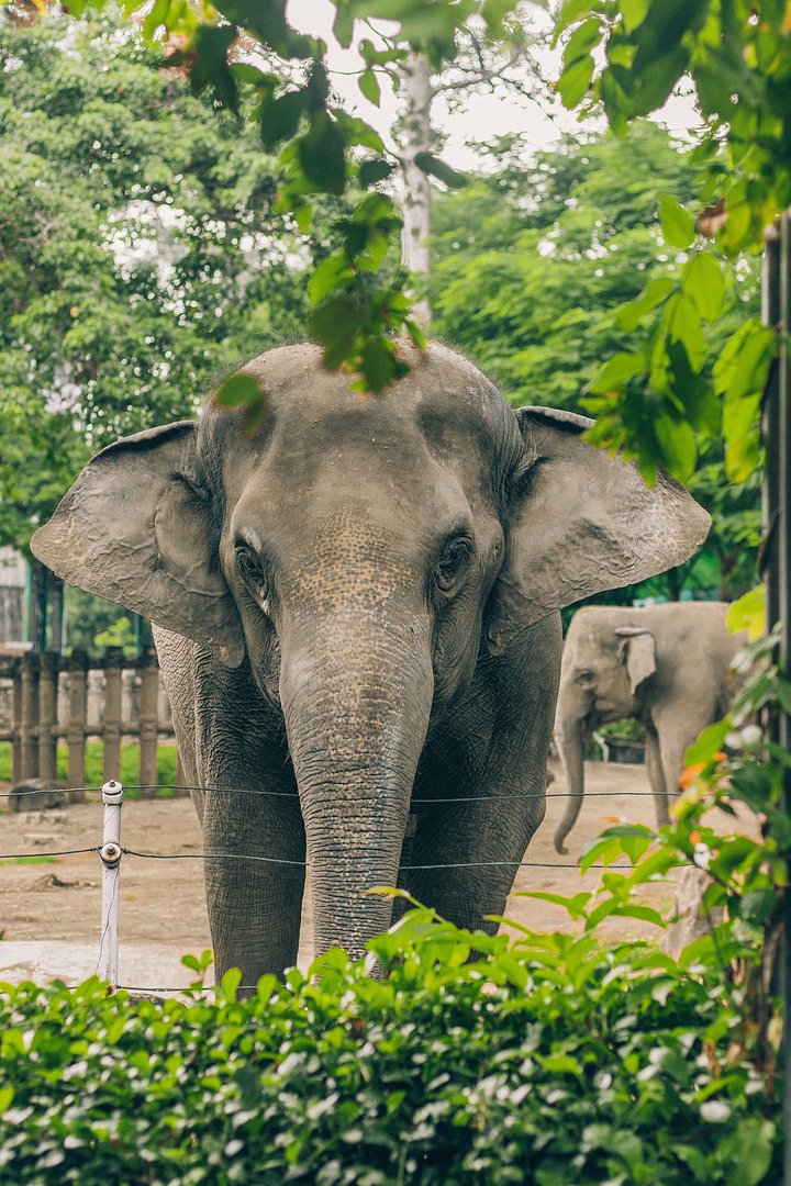 tayla-linford-CKj74SQd3vM-unsplash