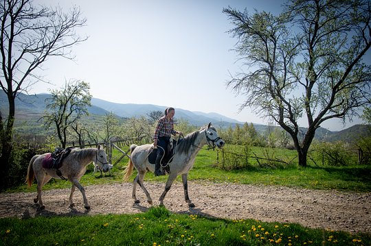 Equestrian experience tracking the Bison