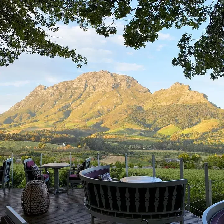 Secrets of Stellenbosch 