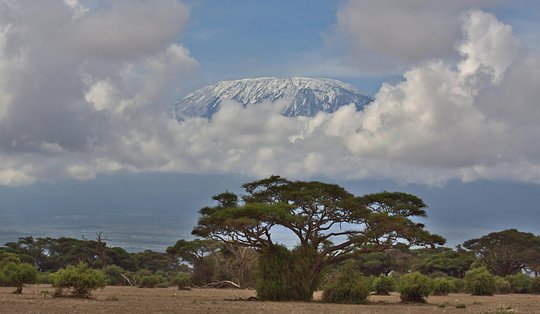 Kilimanjaro - day hike