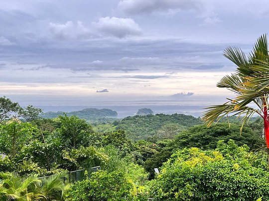 The Explorer's Reset: Costa Rica Wellness & Adventure