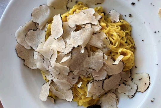 Truffle Hunting Experience