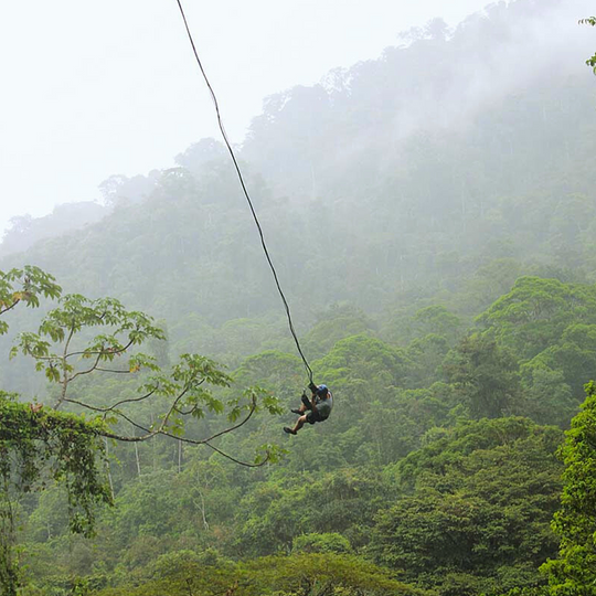 Tarzan swing