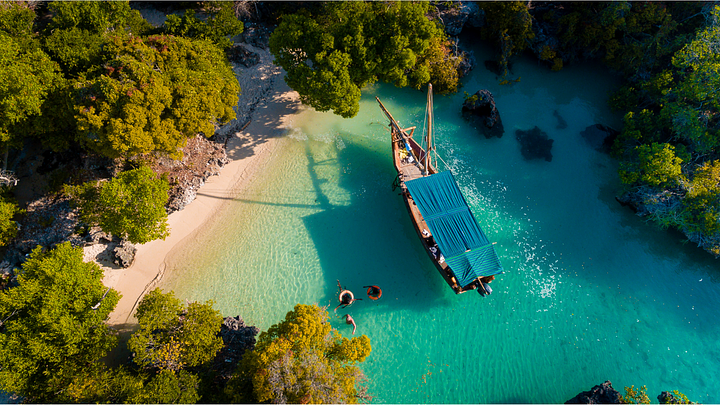 SafariBlue1
