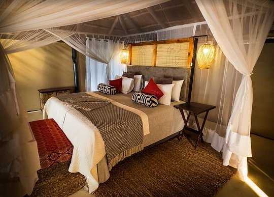 Double Occupancy Room