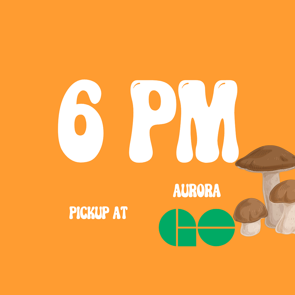 6PM Shuttle from Aurora GO