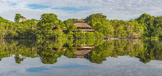 5-Day/4 Night Post-Trip Extension to the Amazon Rainforest - Private Room