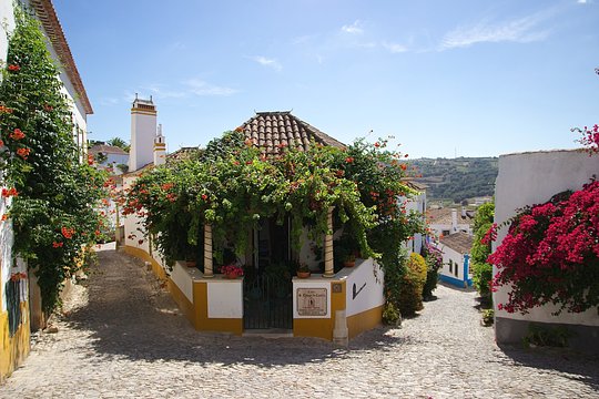 Admire the whitewashed houses, stunning castles, and medieval architecture of Obidos