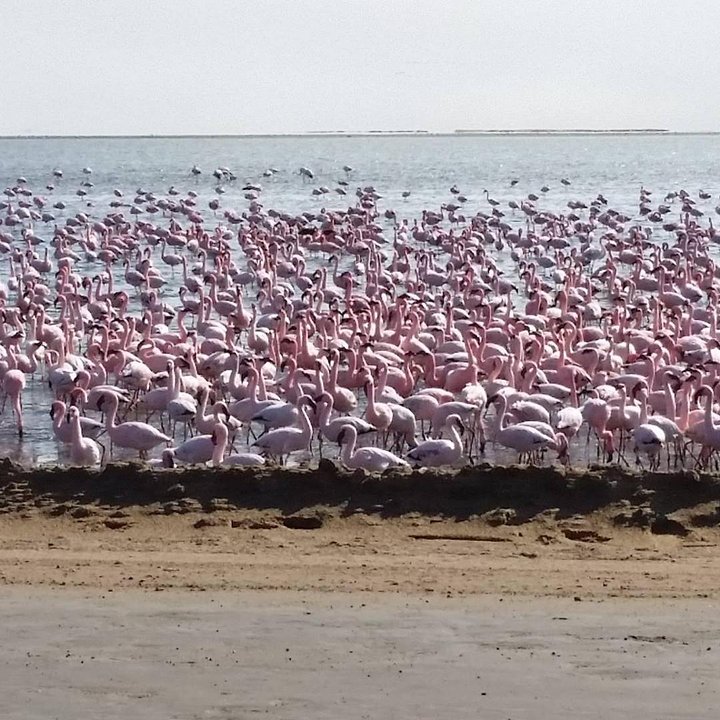 NamibiaWalvisBayLagoon