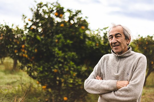 The Citrus Farmer