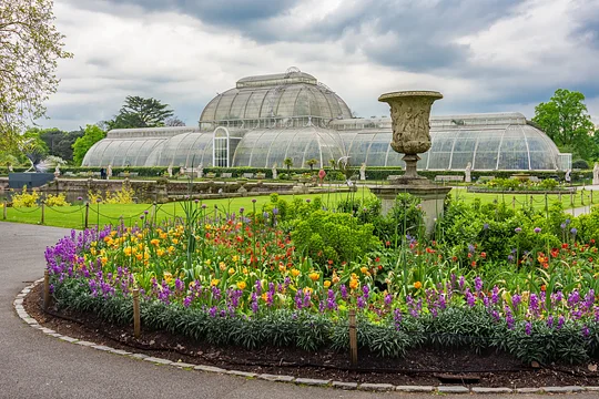 Tour the renowned Kew Gardens with a private guide