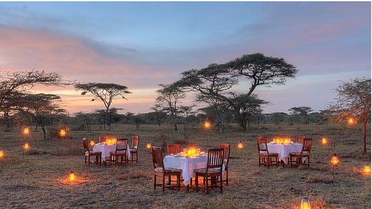 Ndutu Safari Lodge - Day 4