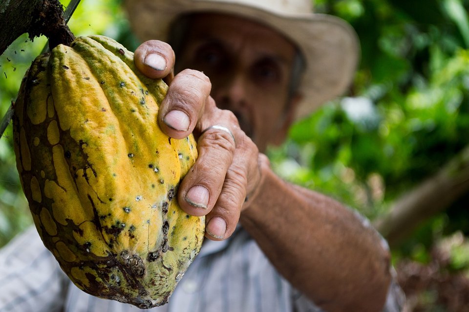 manhandfruitcocoa50707