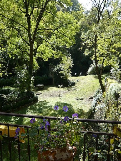 bozoulsbackyard1