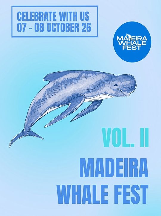 Festival da Baleia - “Mapping Whales” de Blue Safari Madeira