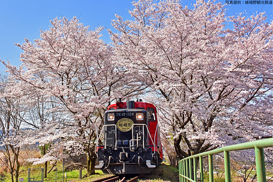 Sagano Torokko Train
