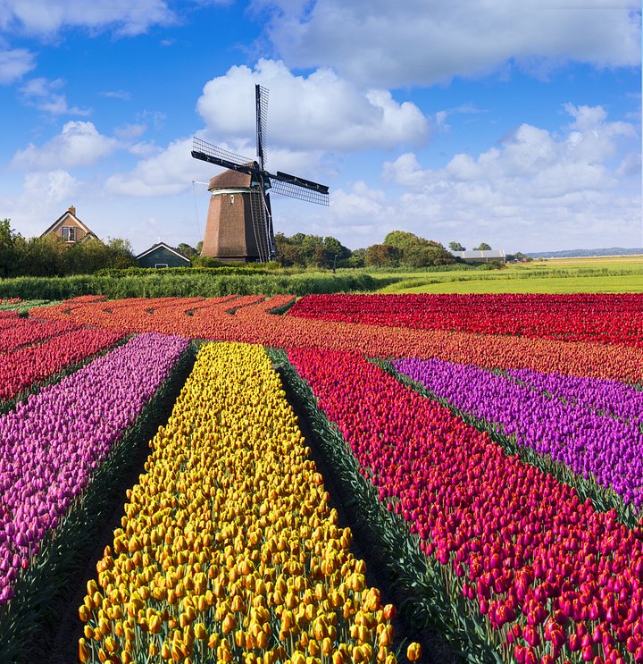 iStock10791776961