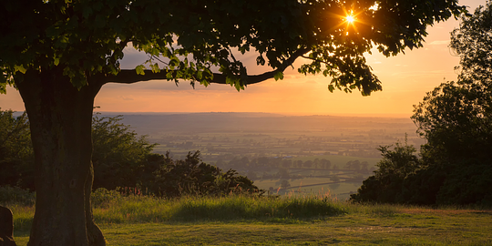 TP RUN CLUB: CHILTERN HILLS