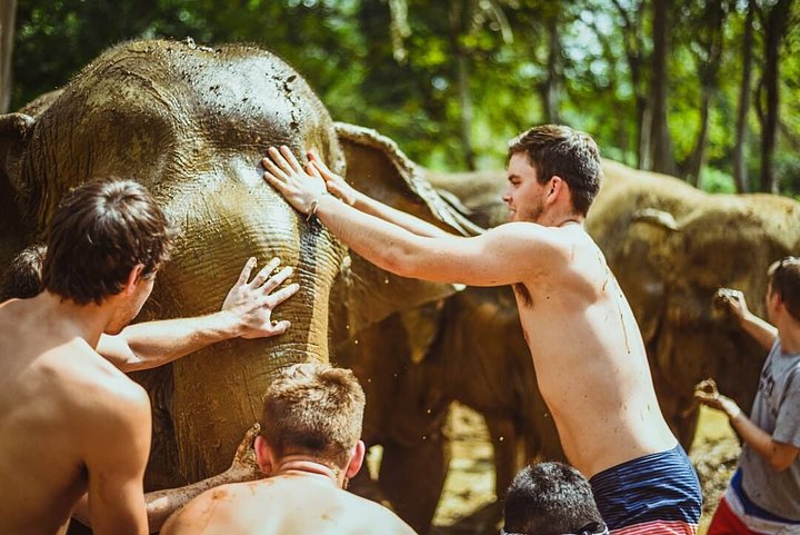 thai elephant_lbw traveller bathing an elephant at a sanctuary