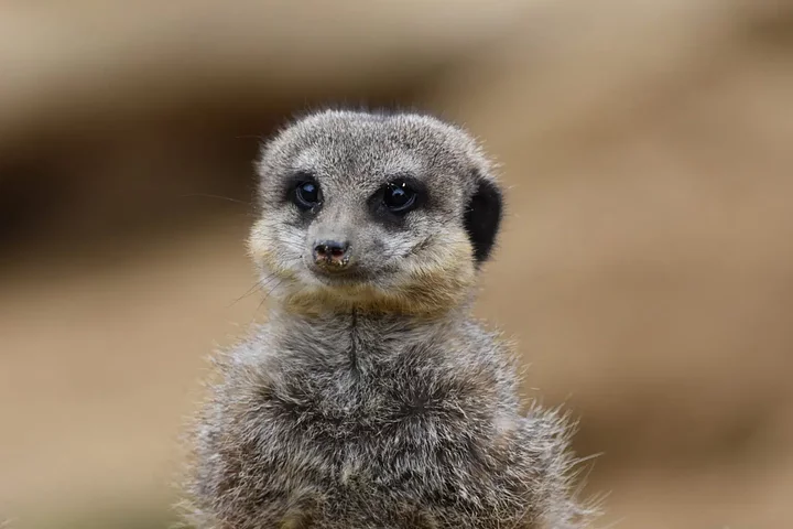 namibia7