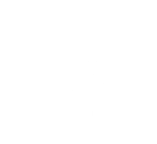 Rise Festival