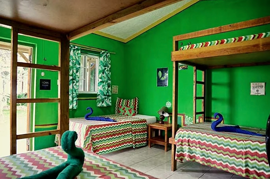 Irie Dorm
