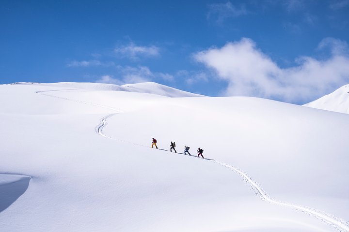 hendrikmorkel4b30K9Qw3Iwunsplash