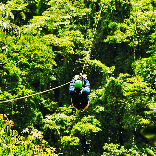 Zipline & tarzan swing